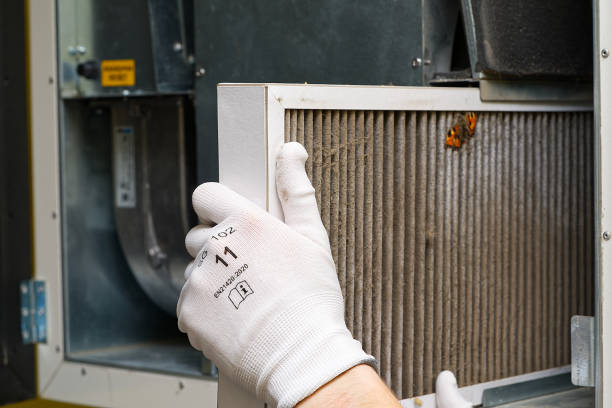 Best Affordable HVAC Duct Cleaning  in Gold Beach, OR